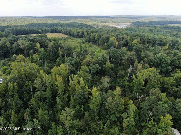 157 Acres of Land for Sale in Tishomingo, Mississippi