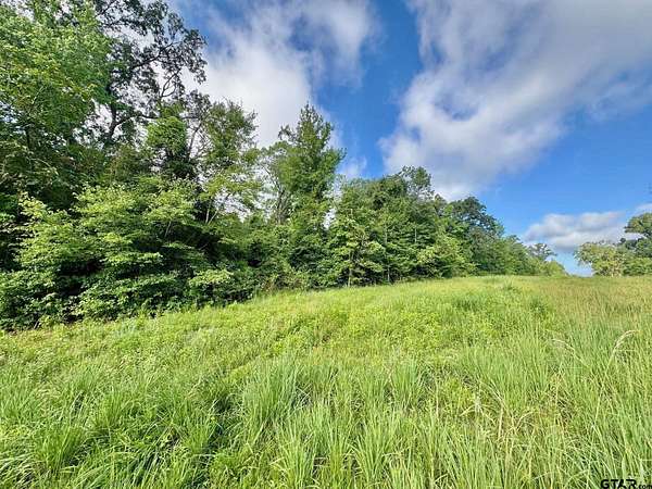 20 Acres of Recreational Land for Sale in Winona, Texas