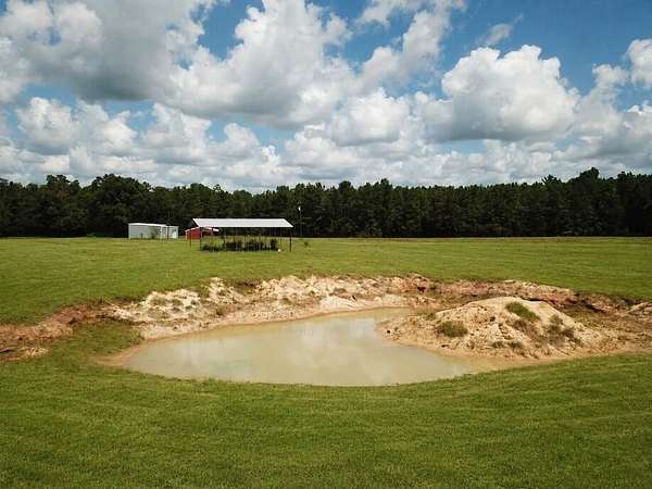 18.7 Acres of Land for Sale in Newton, Texas