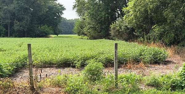65.5 Acres of Land for Sale in Grovertown, Indiana