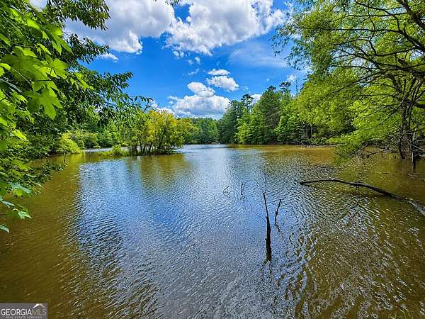 285 Acres of Recreational & Residential Land for Sale in Fortson, Georgia