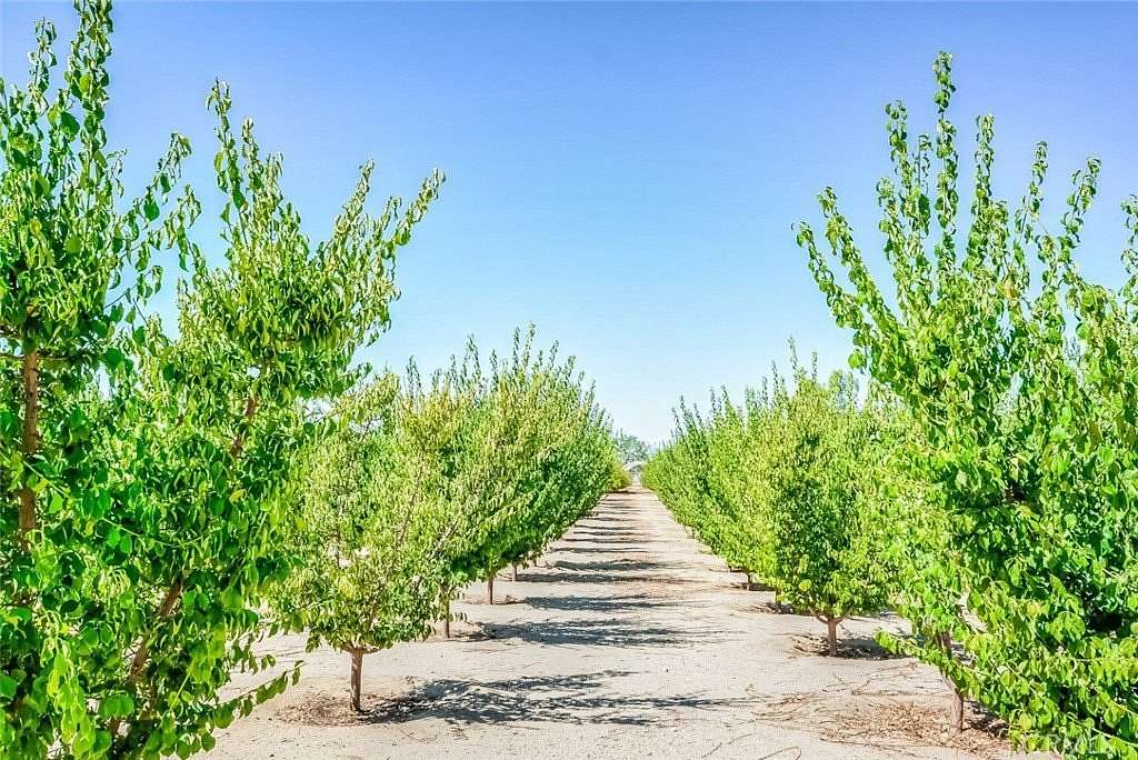 2.25 Acres of Land with Home for Sale in Phelan, California