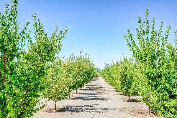 2.25 Acres of Land with Home for Sale in Phelan, California