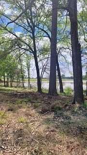 2.3 Acres of Residential Land for Sale in Big Sandy, Texas
