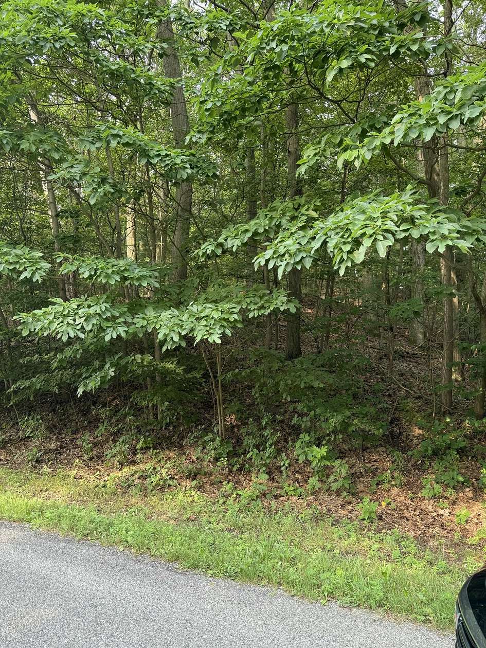 11.5 Acres of Land for Sale in West Olive, Michigan