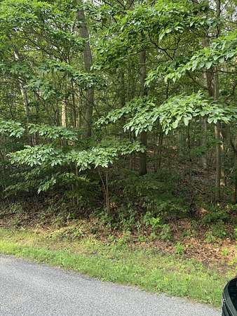 11.5 Acres of Land for Sale in West Olive, Michigan