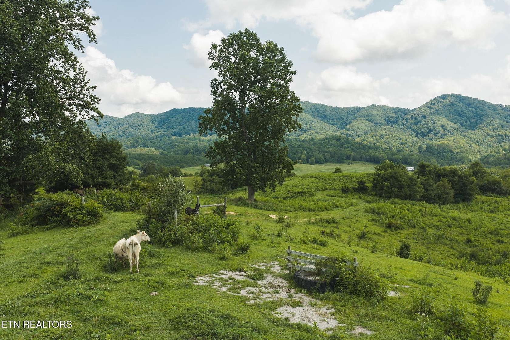 55.6 Acres of Recreational Land for Sale in Sneedville, Tennessee