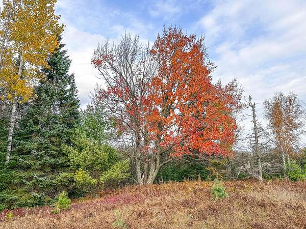 1.36 Acres of Land for Sale in Phillips, Wisconsin
