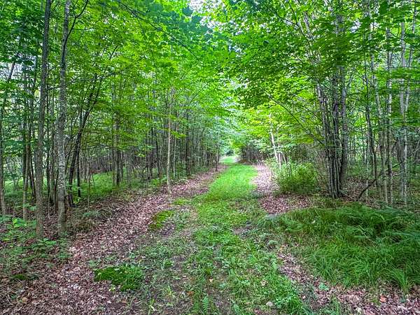 93.9 Acres of Recreational & Residential Land for Sale in Park Falls, Wisconsin