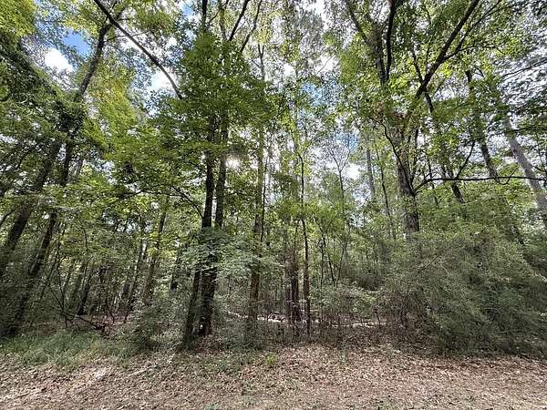 0.25 Acres of Residential Land for Sale in Hemphill, Texas