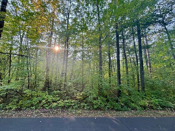 0.55 Acres of Land for Sale in Hayward, Wisconsin
