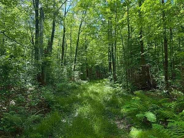 60 Acres of Land for Sale in Phillips, Wisconsin