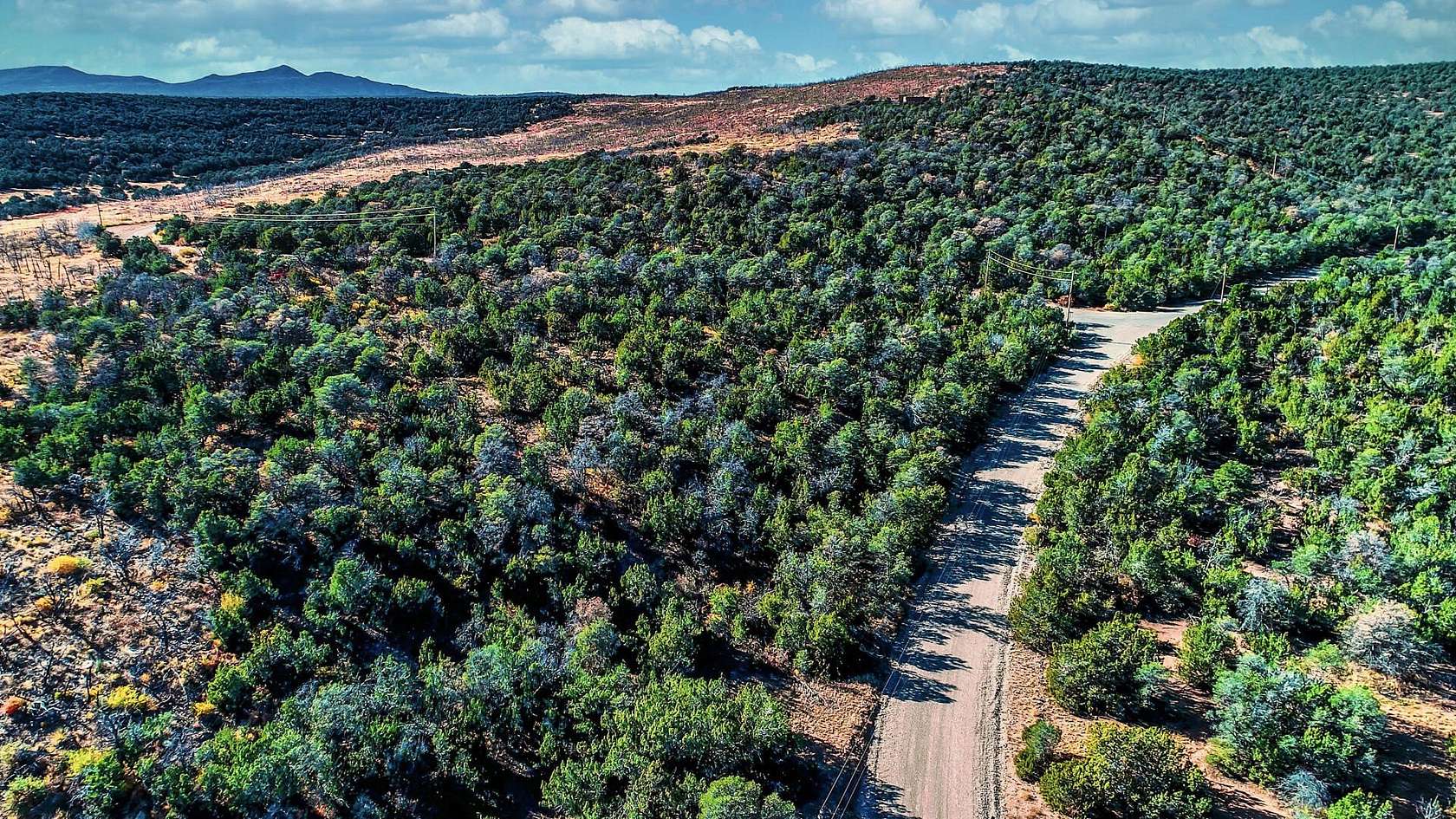 11.6 Acres of Land for Sale in Estancia, New Mexico