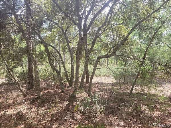 0.28 Acres of Residential Land for Sale in Homosassa, Florida