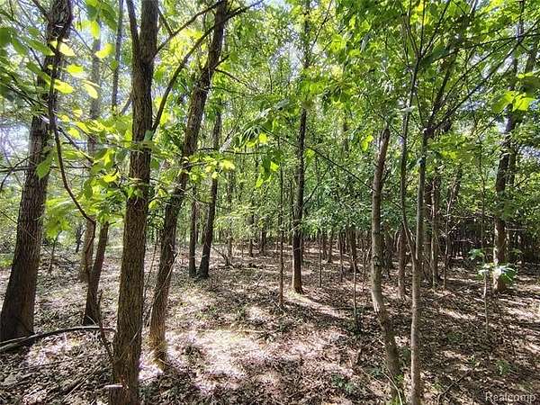 15.2 Acres of Land for Sale in Hadley Township, Michigan