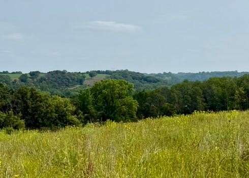 69.8 Acres of Land for Sale in Welch, Minnesota