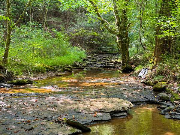 88 Acres of Land with Home for Sale in Manchester, Kentucky