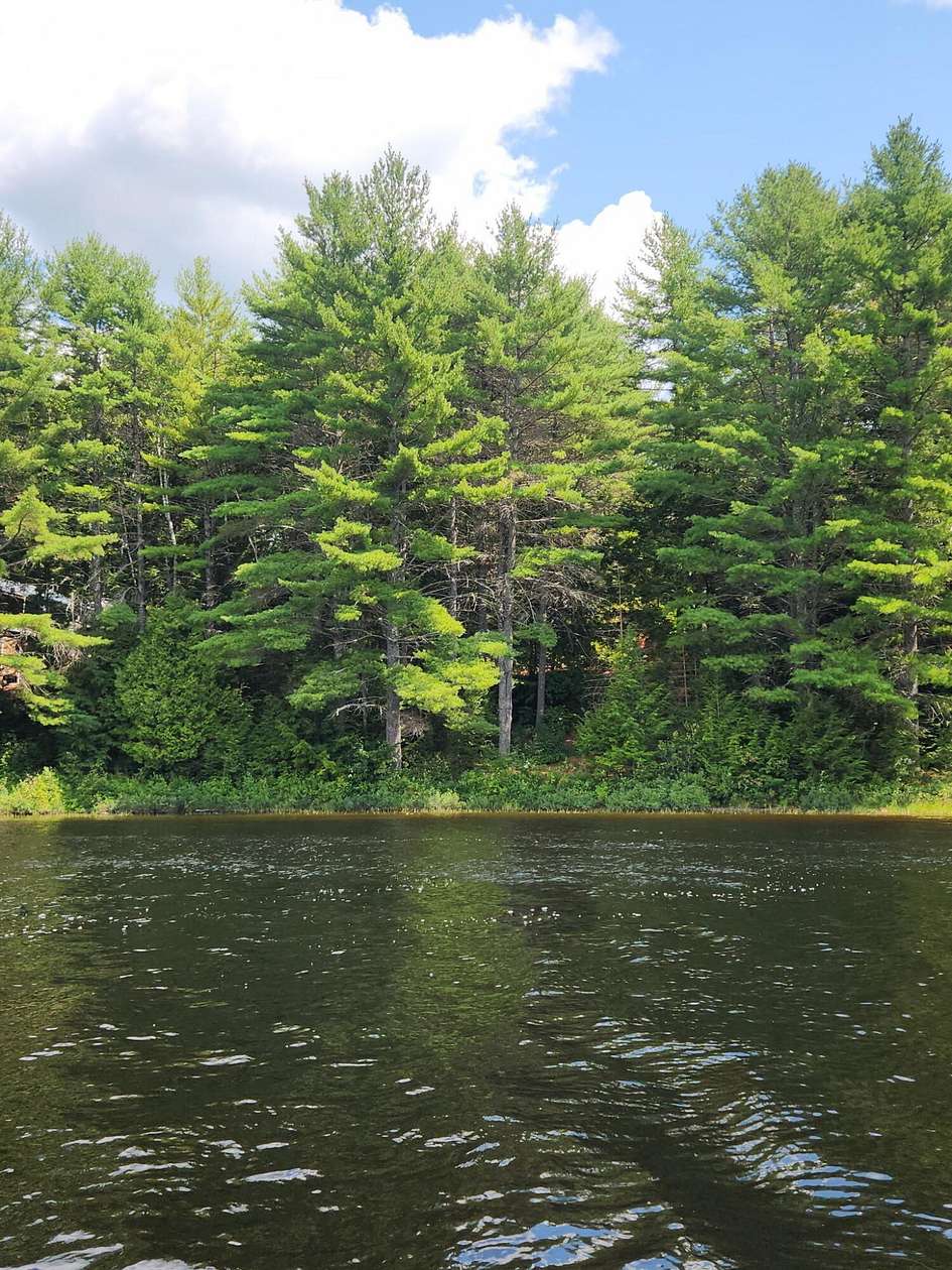 0.75 Acres of Land for Sale in Beddington, Maine