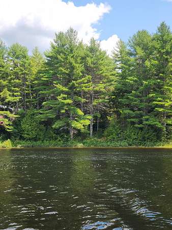 0.75 Acres of Land for Sale in Beddington, Maine
