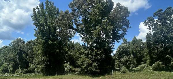 28 Acres of Recreational Land for Sale in Walnut, Mississippi