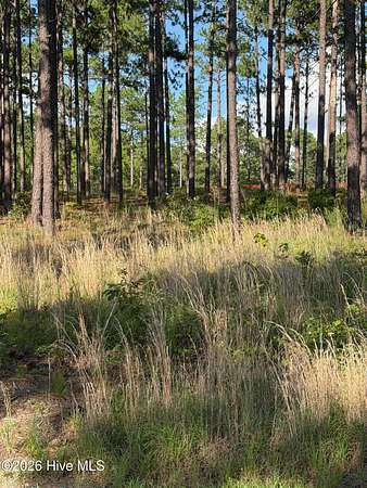 5.38 Acres of Residential Land for Sale in Southern Pines, North Carolina