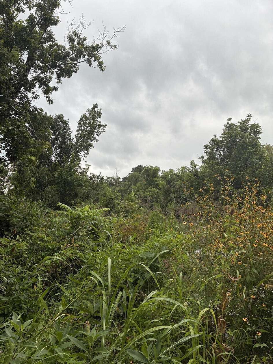 18 Acres of Land for Sale in Richmond, Kentucky