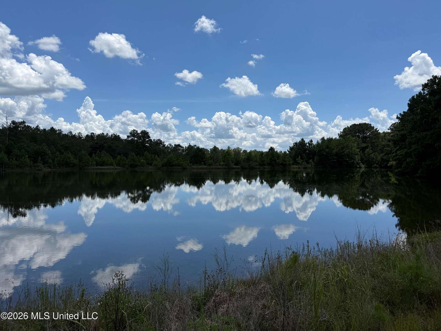 12.4 Acres of Land for Sale in Poplarville, Mississippi
