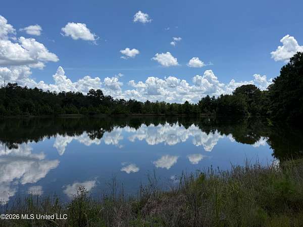 12.4 Acres of Land for Sale in Poplarville, Mississippi