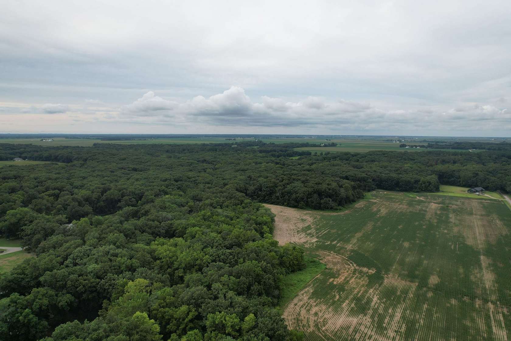 34.8 Acres of Land for Sale in Strasburg, Illinois