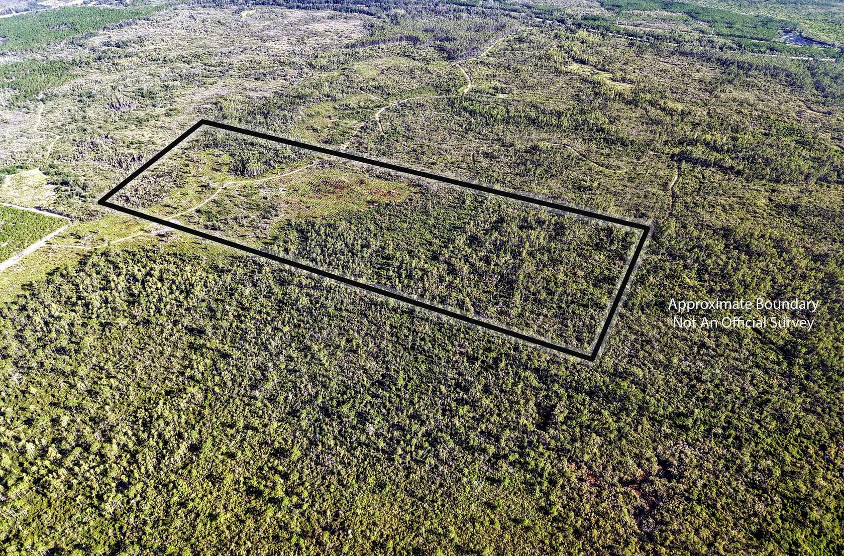 50 Acres of Recreational Land for Sale in Mayo, Florida