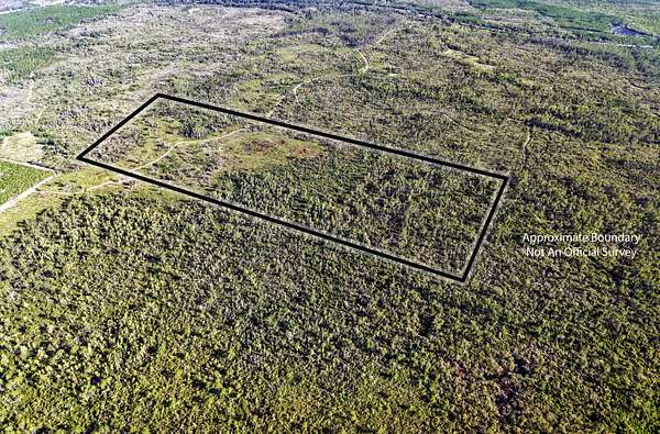 50 Acres of Recreational Land for Sale in Mayo, Florida