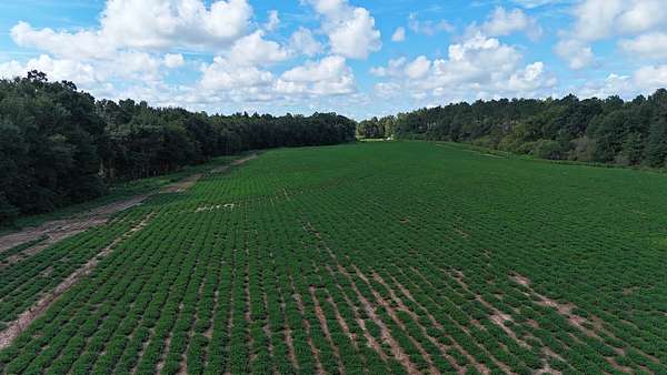 26.9 Acres of Land for Sale in Webb, Alabama
