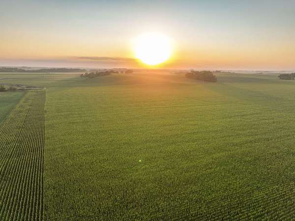 79 Acres of Land for Auction in Emerson, Nebraska