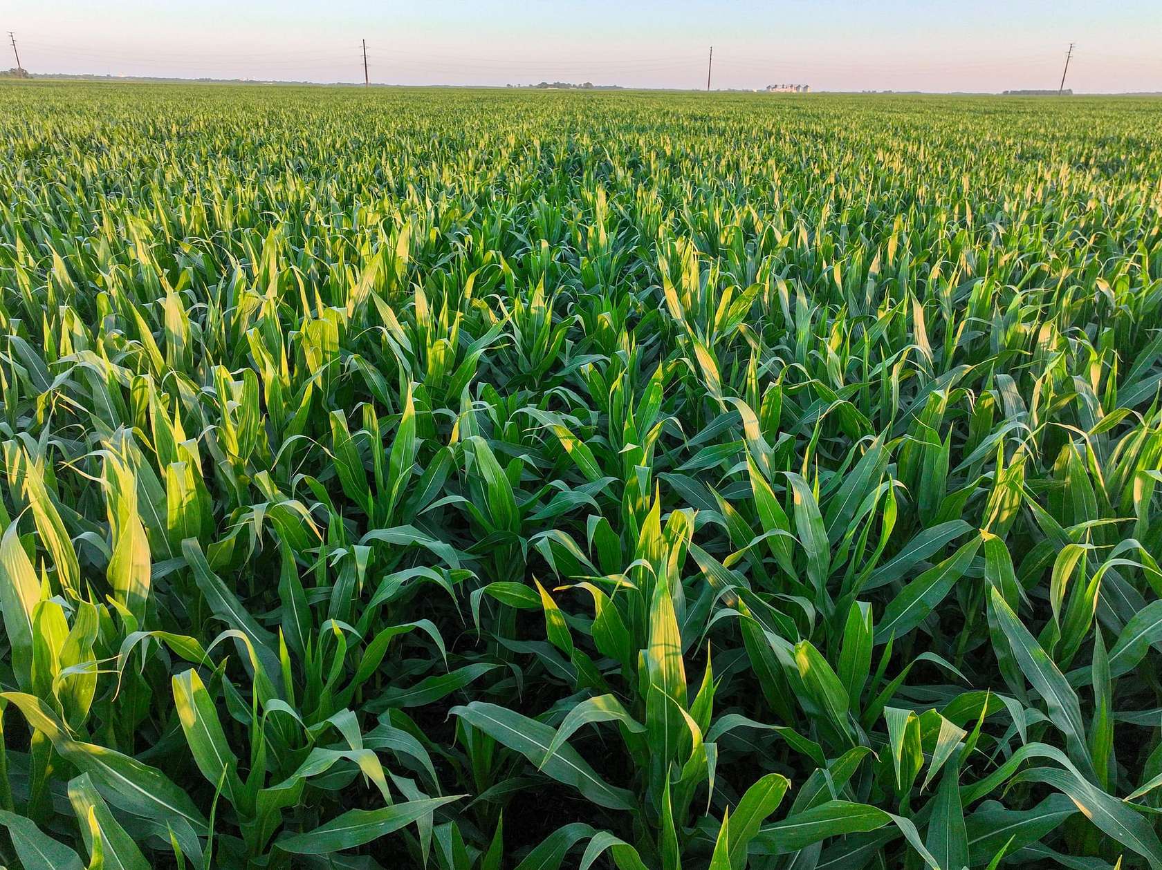 160 Acres of Land for Auction in Groton, South Dakota