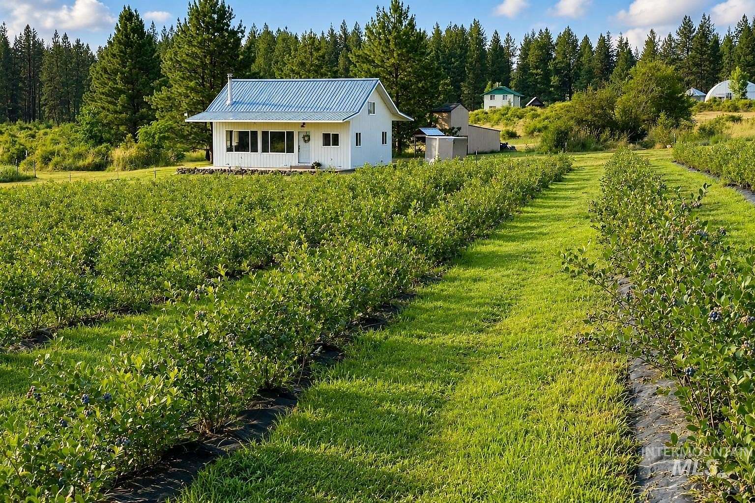 23.7 Acres of Agricultural Land with Home for Sale in Kooskia, Idaho