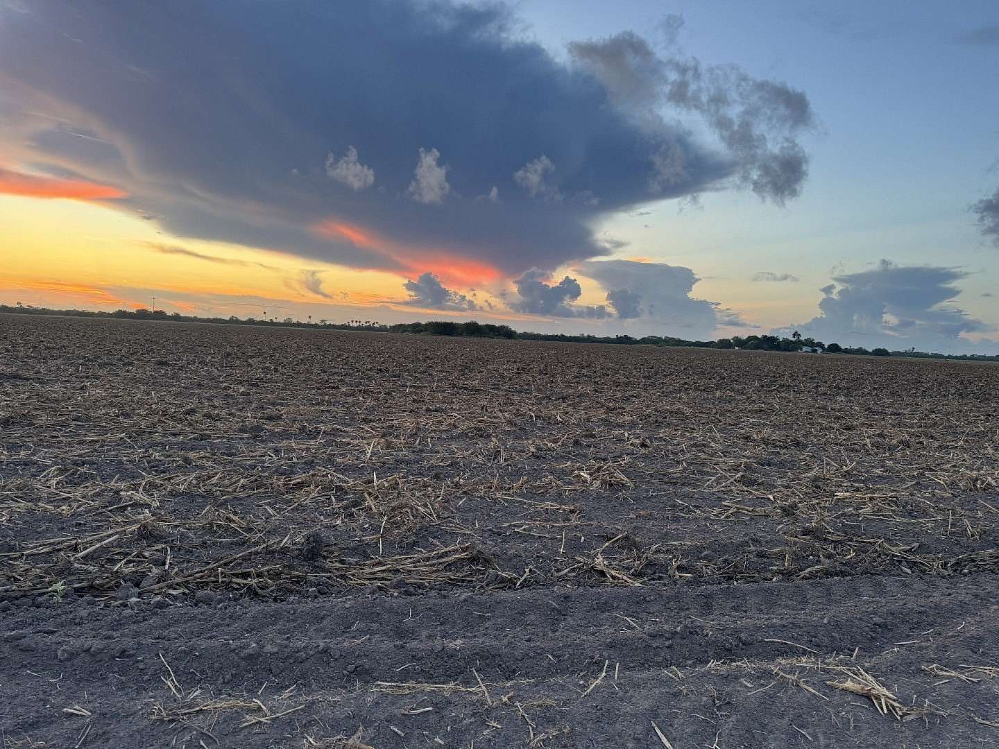40 Acres of Agricultural Land for Sale in La Feria, Texas