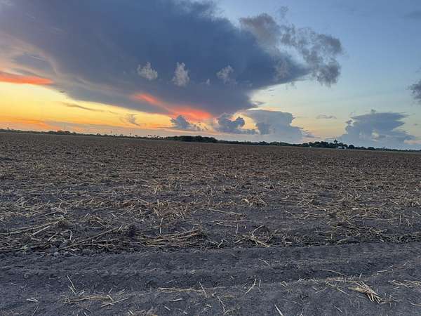 40 Acres of Agricultural Land for Sale in La Feria, Texas