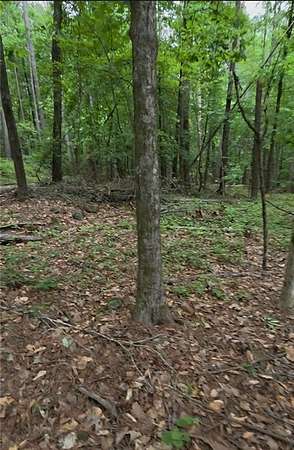 3.9 Acres of Residential Land for Sale in Conyers, Georgia