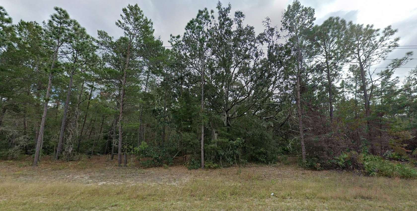 0.17 Acres of Residential Land for Sale in Florahome, Florida
