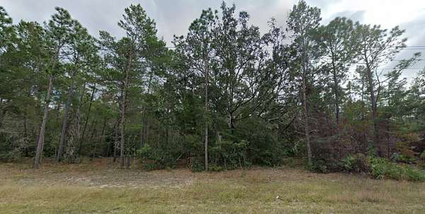 0.17 Acres of Residential Land for Sale in Florahome, Florida