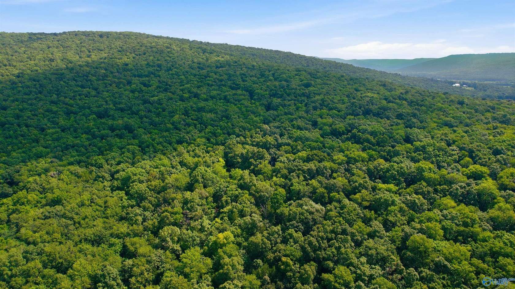 296 Acres of Recreational Land for Sale in Paint Rock, Alabama