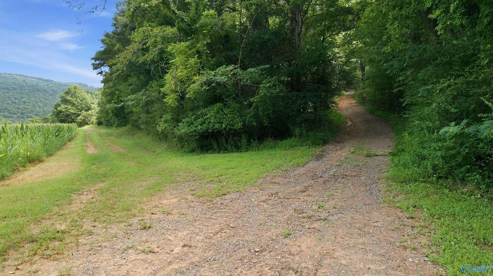 813 Acres of Recreational Land for Sale in Paint Rock, Alabama