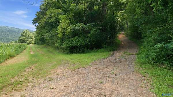 813 Acres of Recreational Land for Sale in Paint Rock, Alabama