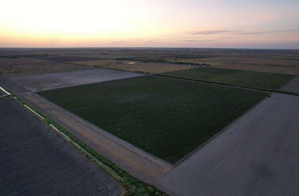 40 Acres of Agricultural Land for Sale in La Feria, Texas