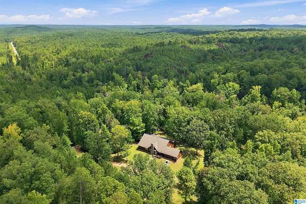 10 Acres of Land with Home for Sale in Centreville, Alabama