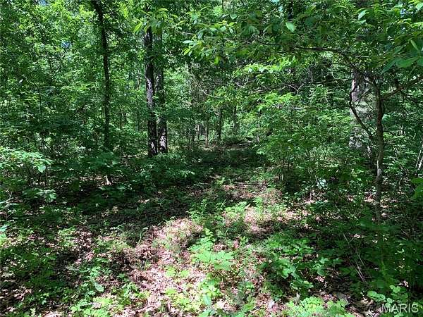 40 Acres of Land for Sale in St. Mary, Missouri