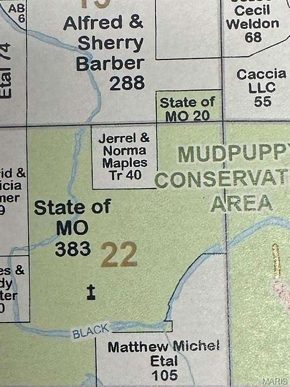 40 Acres of Recreational Land for Sale in Fairdealing, Missouri