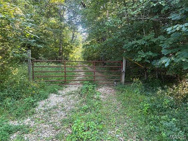 200 Acres of Land for Sale in Bismarck, Missouri