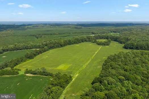 53 Acres of Recreational & Residential Land for Sale in Kinsale, Virginia