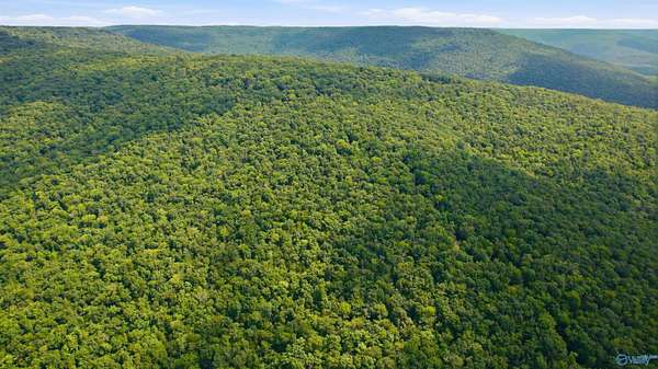 252 Acres of Recreational Land for Sale in Paint Rock, Alabama